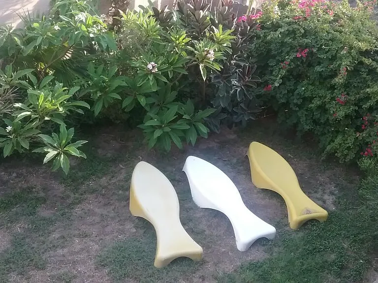 SUNNING FISH CHAIRS