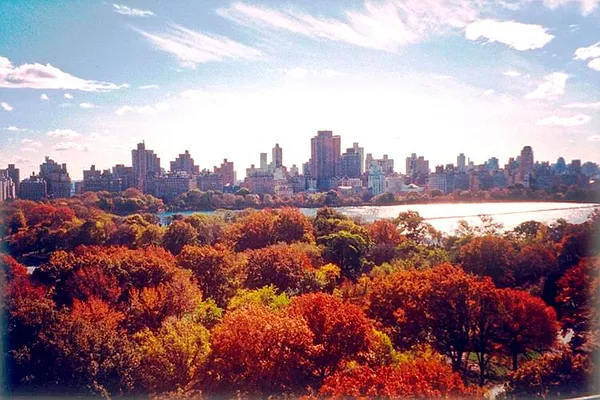 Rented by Town Residential | media 23