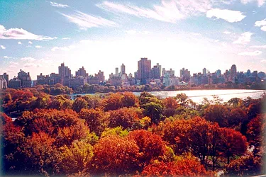 Rented by Town Residential