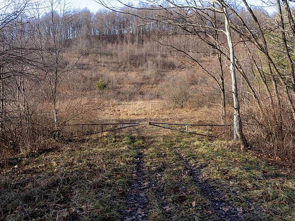 5th image of LOT 1 Frost Run