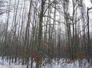 LOT 5 Mallard Lake Rd, Webster, WI 54893