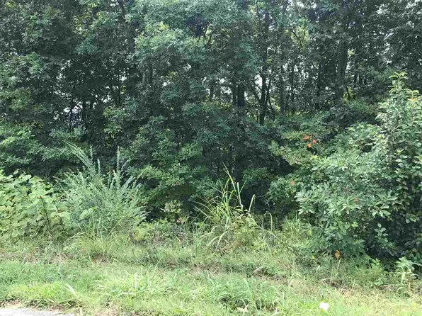 3437 Blue Springs Rd, Strawberry Plains, TN 37871