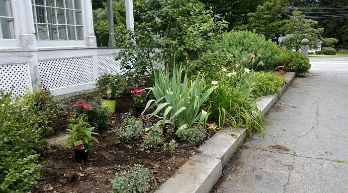 Driveway Garden-July view