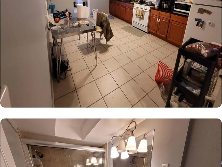3629 S Hermitage Ave #BASEMENT — Photo 4