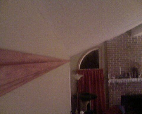 Picture rail in great room