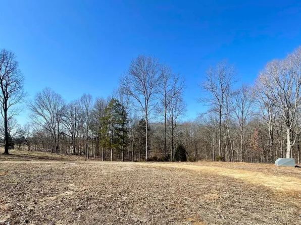 4339 Almo Shiloh Rd, Dexter, KY 42036