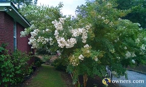 SIDE OF HOUSE NEAR SHOP