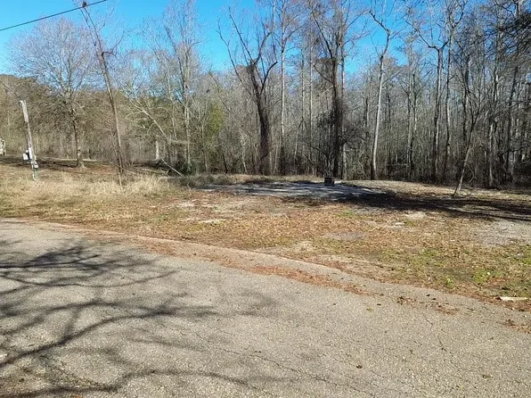 31 & 32 Colyell Bay Dr, French Settlement, LA 70733