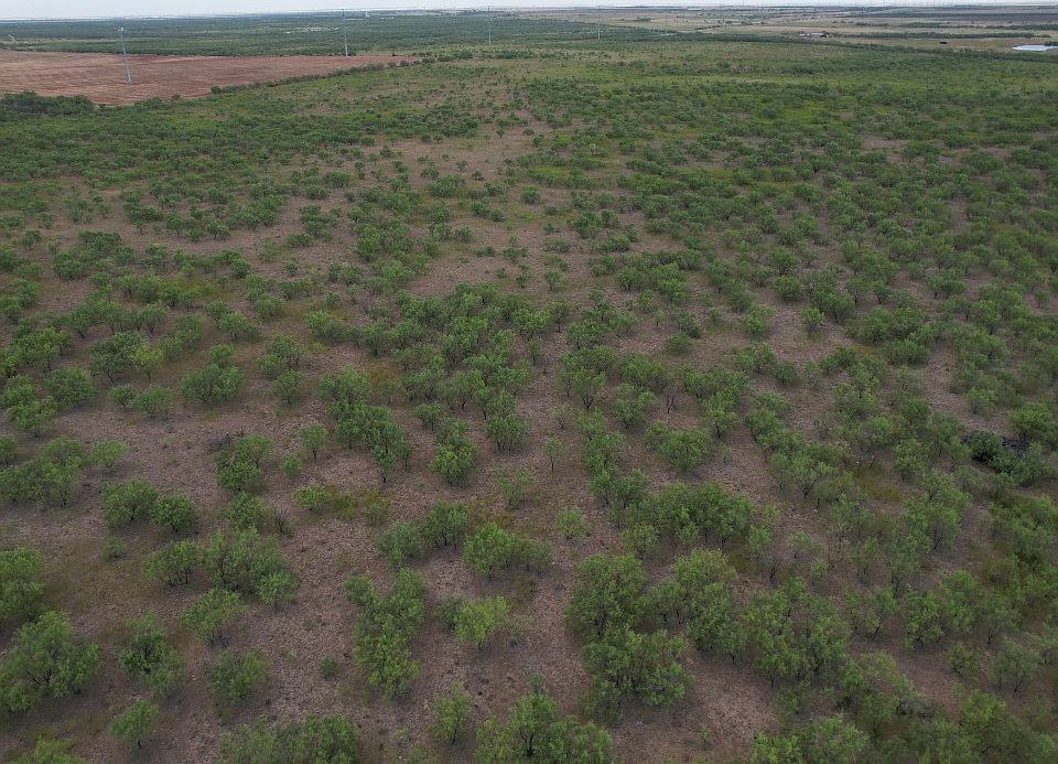 75/AC SE Highway 6, Lueders, TX 79533 MLS 20410916 Zillow