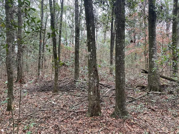 LOT 5 Suggs Rd, Dothan, AL 36303