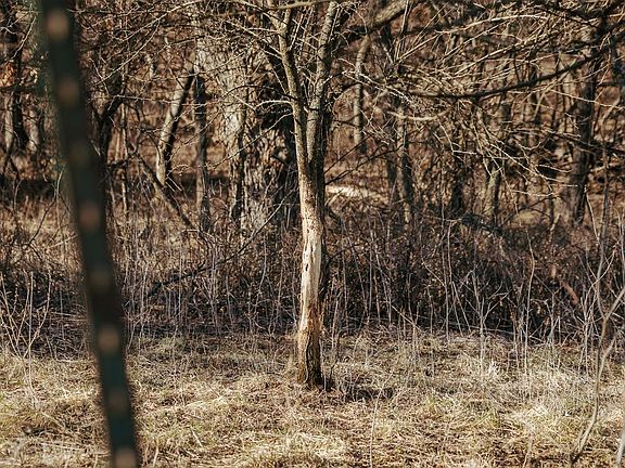 2nd image of 0 202nd Rd