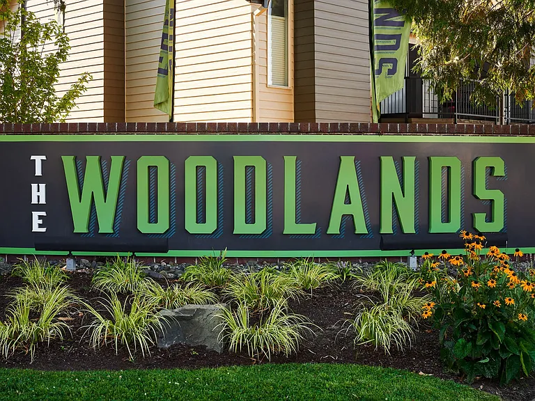 The Woodlands — Photo 39
