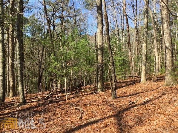 Land For Sale In Helen Ga