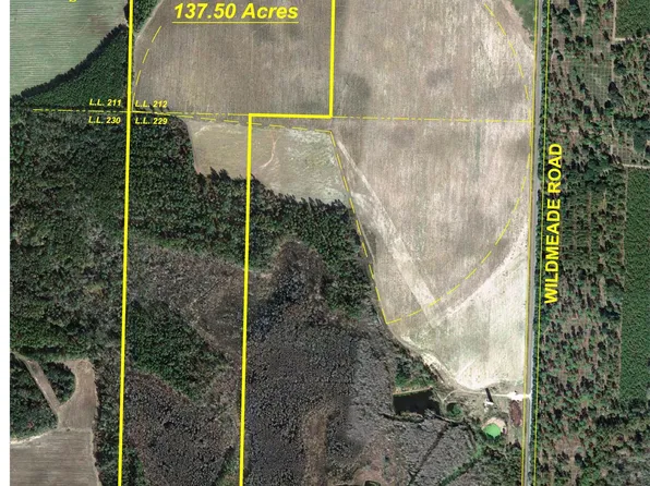 0 Wildmeade Rd, Leary, GA 39862