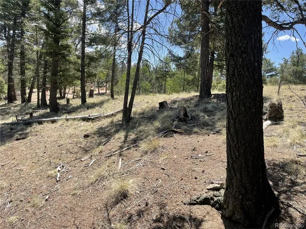 971 Spring Valley Lane LOT 1115, Florissant, CO 80816