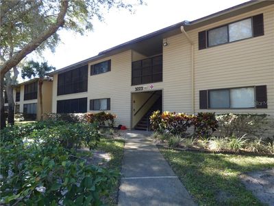 3223 Fox Chase Cir N APT 207, Palm Harbor, FL, 34683