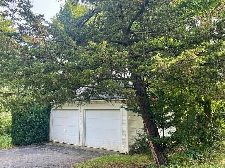 906 Pauline Blvd — Photo 2