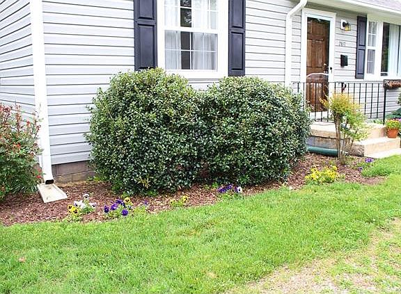2nd image of 2817 Irisdale Ave