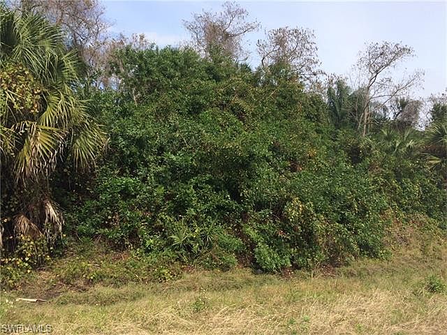 2nd image of 6315 Lancewood Way