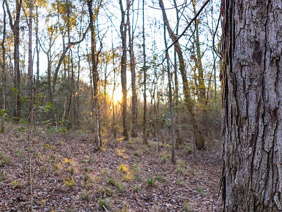 3rd image of 80/ACRE S Double Creek Rd