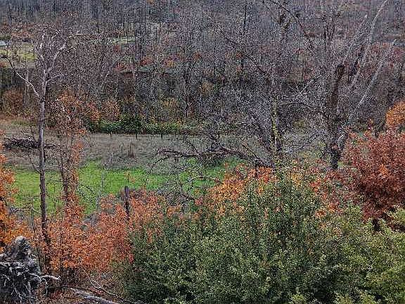4th image of 1225 S Fork Rd