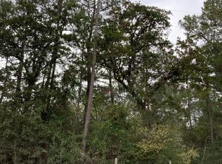 16596 Camelia Ln, Plantersville, TX 77363