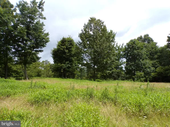 Elbinsville Rd, Flintstone, MD 21530