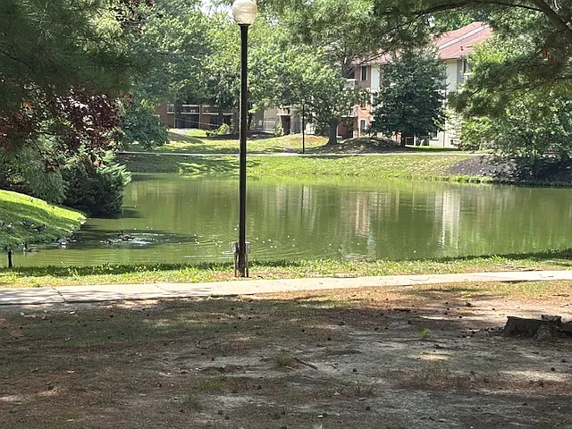 View of pond from rear of property