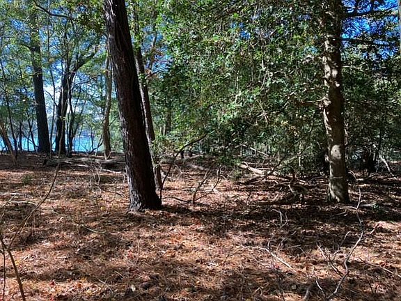 4th image of LOT 181 Blue Teal Ln