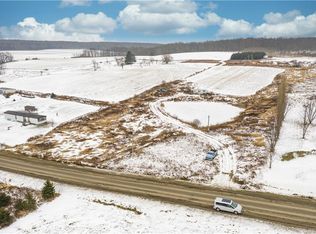 259 Baird Rd, Freedom, NY 14065