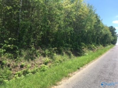 County Road 1453, Falkville, AL, 35622