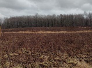 2994 Benetka Rd, Jefferson, OH 44047