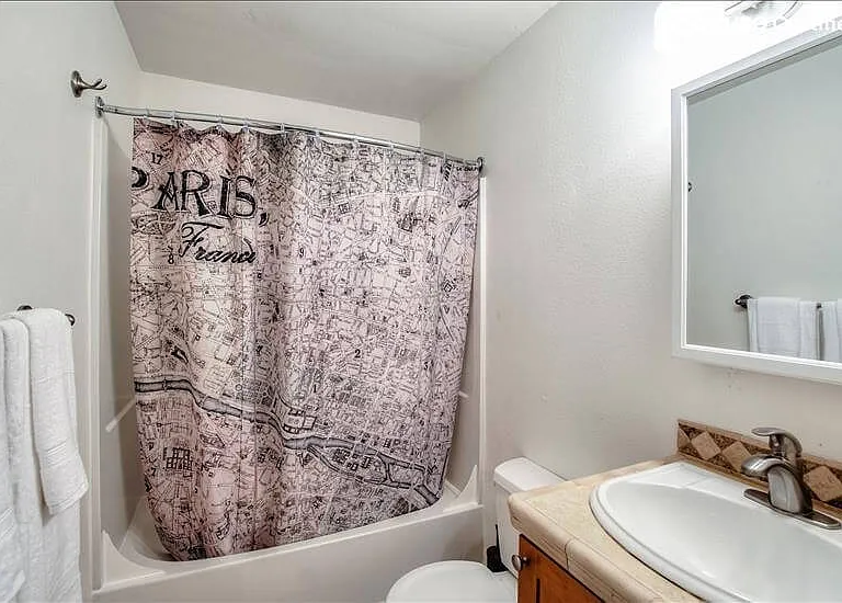 Bathroom with Paris shower curtain