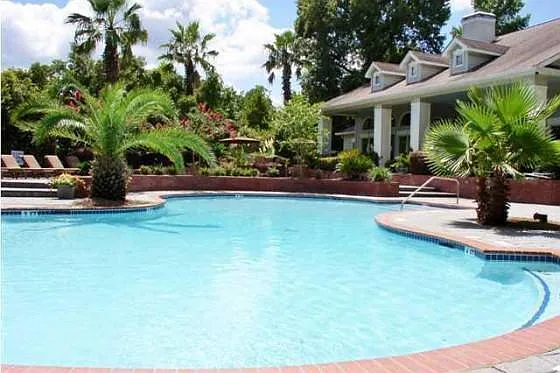 700 Daniel Ellis Dr #4208 — Photo 34