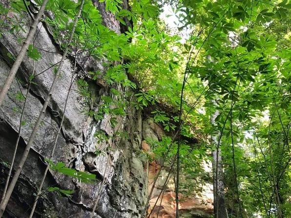 Princeton Olney Donahue Rd, Princeton, KY 42445