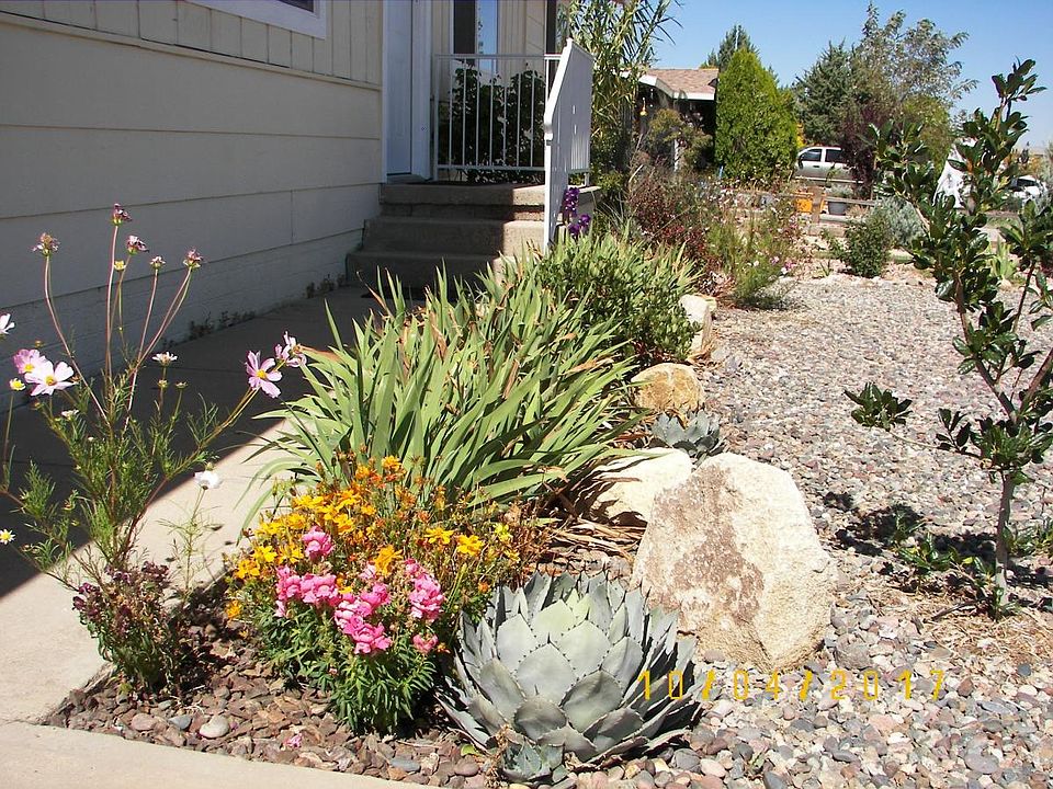 front yard