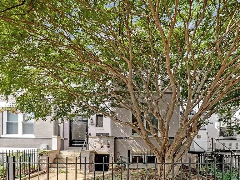 1349 Newton St NW #1 — Photo 4