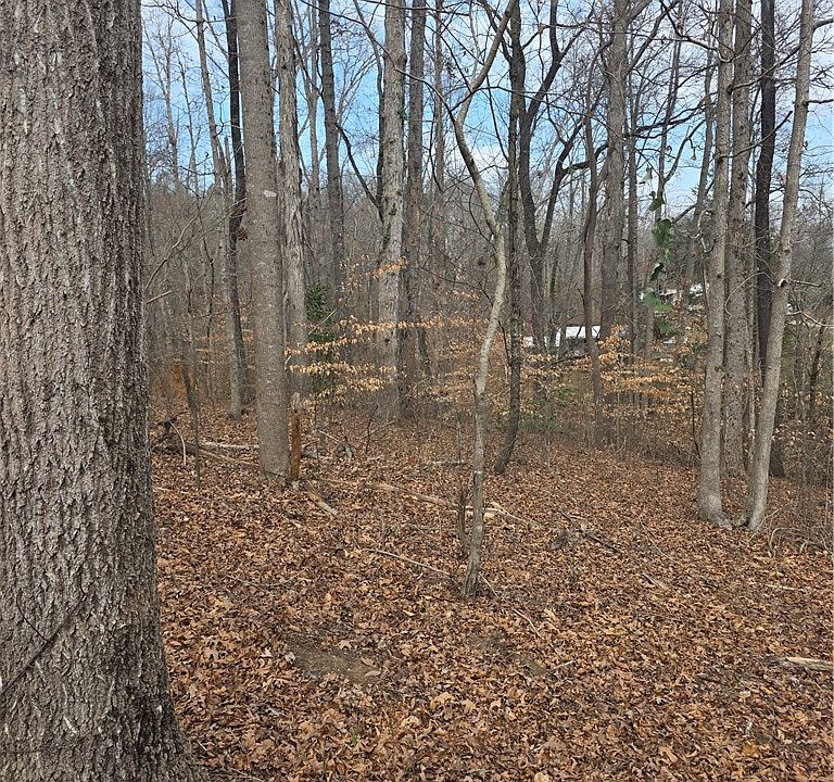 2nd image of LOT 29/30 Timberlake One Cir