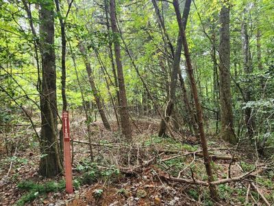 Lts 42 43 Old Mill Pond Rd, Mineral Bluff, GA, 30559