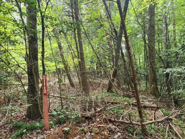 Lts 42 43 Old Mill Pond Rd, Mineral Bluff, GA 30559