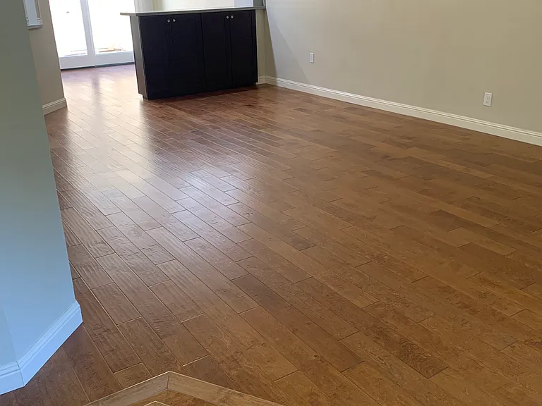 Living room and Dining area