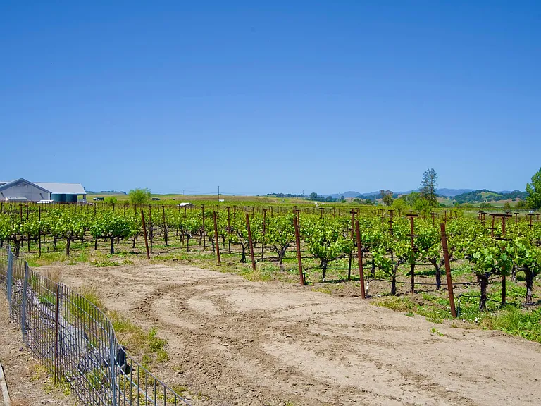 1101 Los Carneros Ave — Photo 36