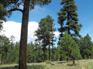 2182 Pine Canyon Dr, Happy Jack, AZ 86024