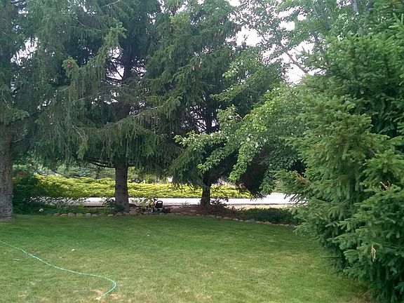 Mature landscape