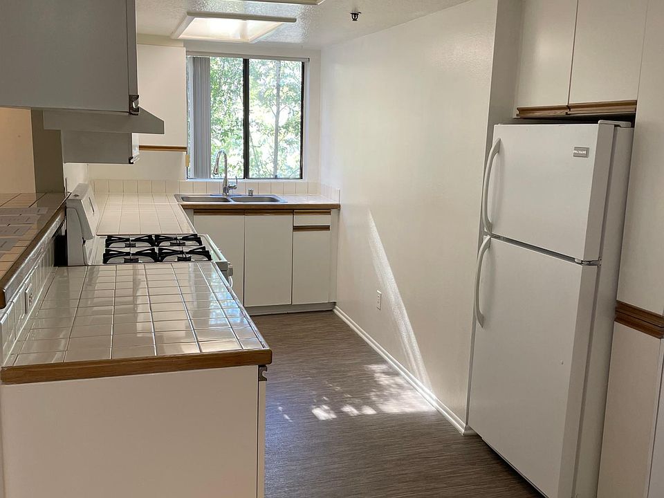 Wonderful natural light entering the kitchen area with lots of counter space