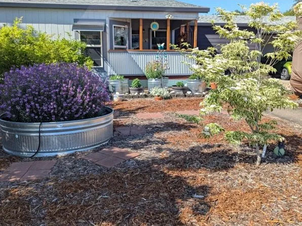 Carol, Lowell, OR 97452