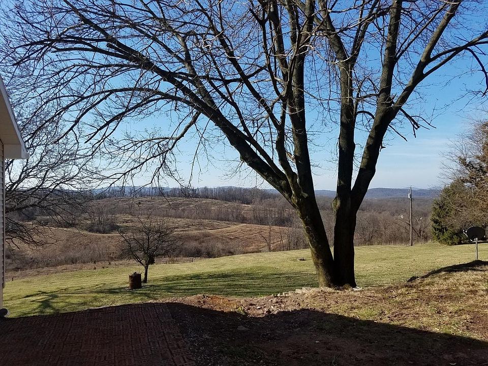 View from Patio