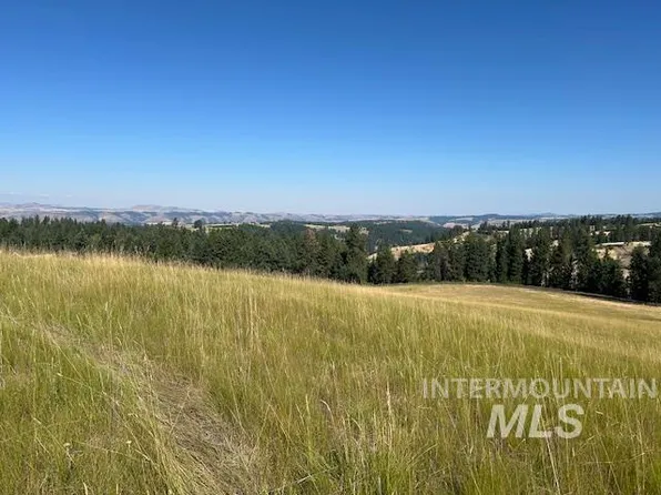 PARCEL 13 Red Fir Rd, Kooskia, ID 83539