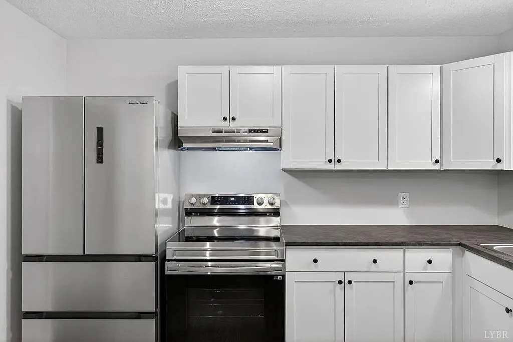 3-Bedroom Near Randolph & Liberty! — Photo 4