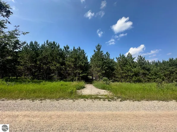 7304 Hemstreet Rd, Bellaire, MI 49615